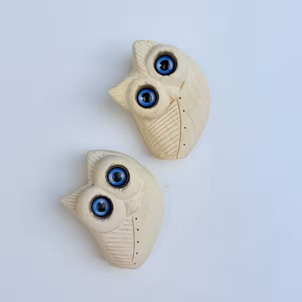 مگنت چوبی جغد دانا طرح دو