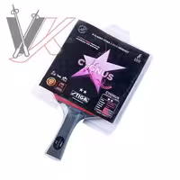 راکت تنیس روی میز استیگا مدل Stiga Sygnus کد 2004014