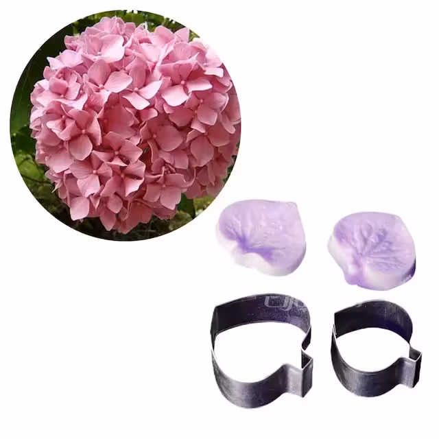 ست کاتر و وینر گل ادریسی