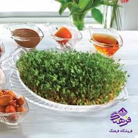 کاسه ماهی متوسط کادو نوری-(16دک)