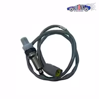 سنسور اکسيژن XU7-SSAT سیم بلند دلفی