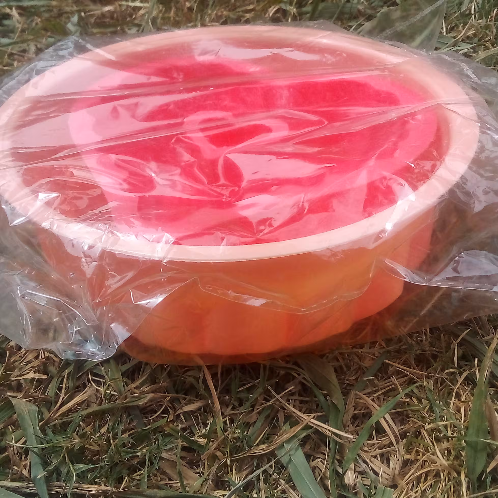 طرف ژله با دو رنگ موجود است با جتسی عالی