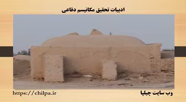مبانی نظری در مورد مکانیسم های دفاعی - چیلپا