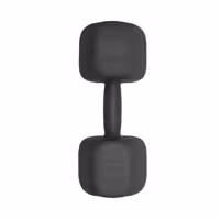 دمبل چند ضلعی وزن 10 کیلوگرم رادیس فیت مدل RPHF One Handle