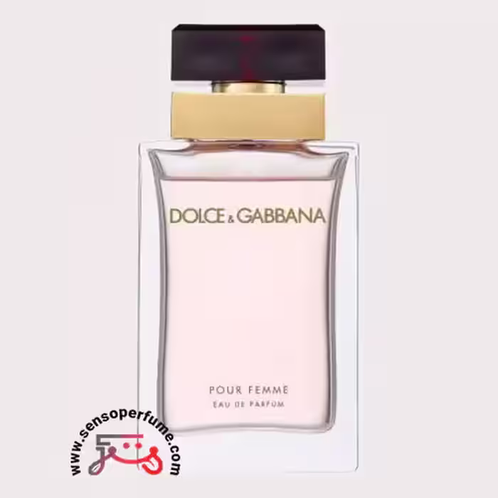 عطر ادکلن دی اند جی دلچه گابانا پور فم | dolce gabbana pour femme