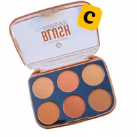 پالت رژ گونه رومانتیک برد _ سری C