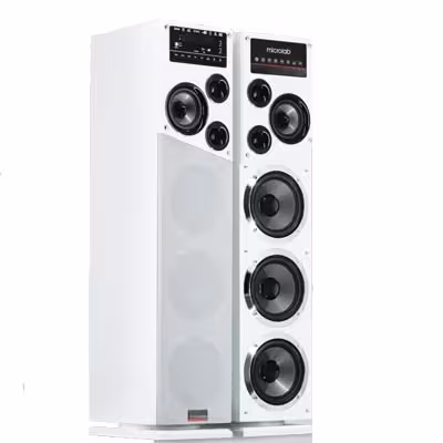 اسپیکر میکرولب ایستاده speaker microlab 30802