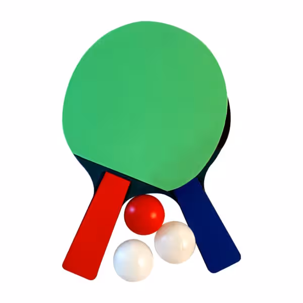 راکت پینگ پنگ مدل V.M مجموعه دو عددی به همراه توپ