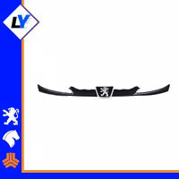 جلو پنجره 206 مشکی با ارم