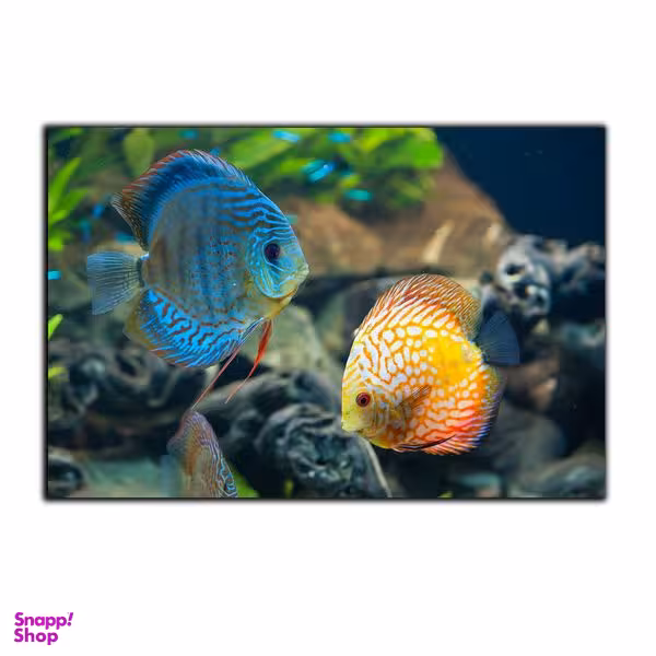 تابلو شاسی بکلیت طرح طبیعت اقیانوس مدل SH-7471