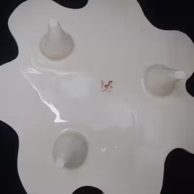 شیرینی خوری سرامیکی هیوا طرح گل یخ کد 10980700