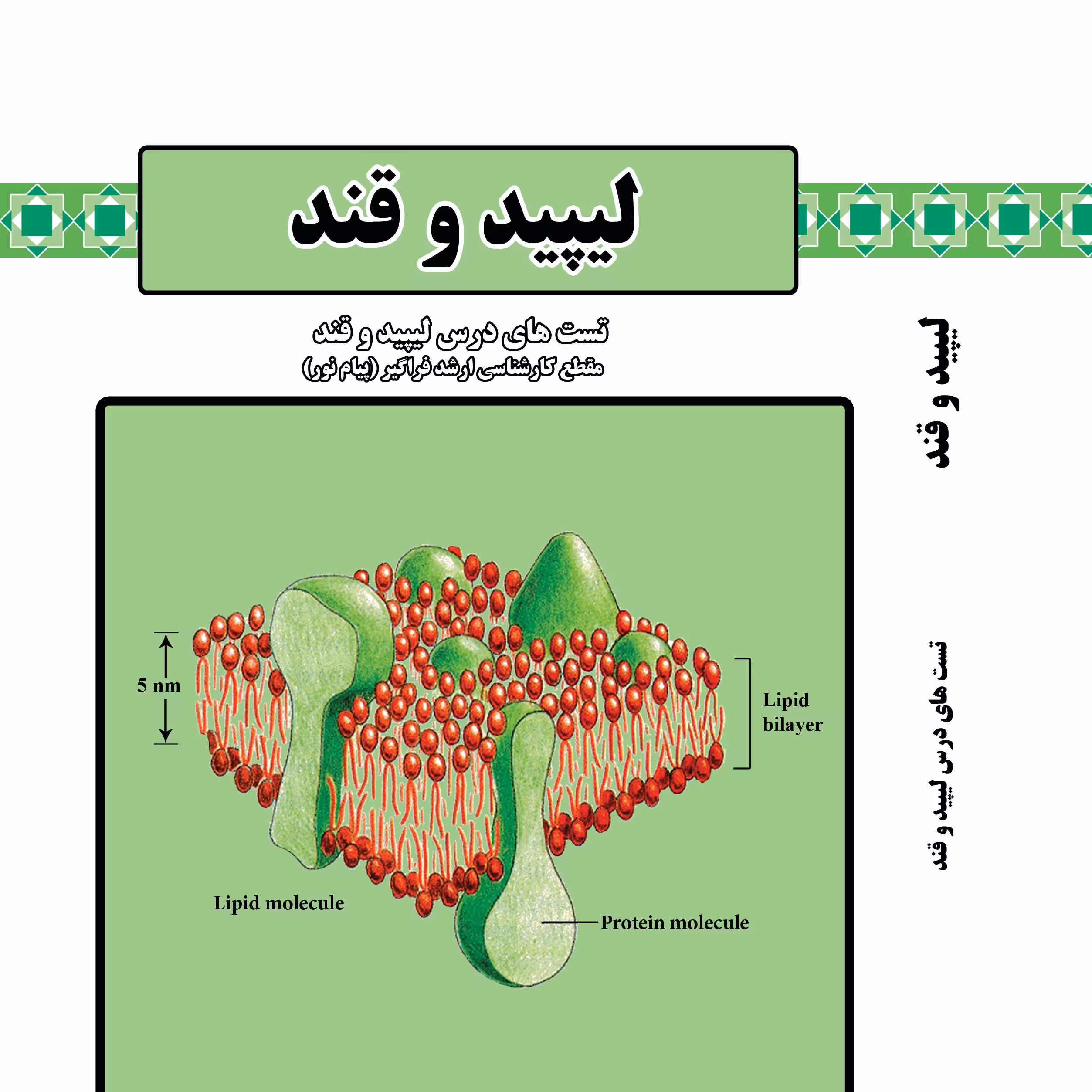 کتاب مجموعه سوالات چهارگزینه ای لیپید و قند(رشته بیوشیمی) از بهزاد لامع راد