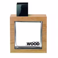 عطر ادکلن دیسکوارد مدل هی وود مردانه-قهوه ای He Wood حجم 100 میلی لیتر | Dsquared He Wood Eau De Toilette For Men 100 ml