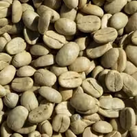 قهوه سبز  اعلا و تازه 100 گرمی عطاری دستانی 