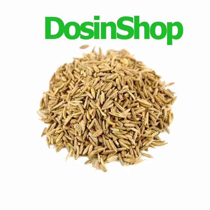 بذر هویج 100 گرمی