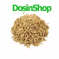 بذر هویج 100 گرمی