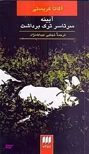 آیینه سرتاسر ترک برداشت