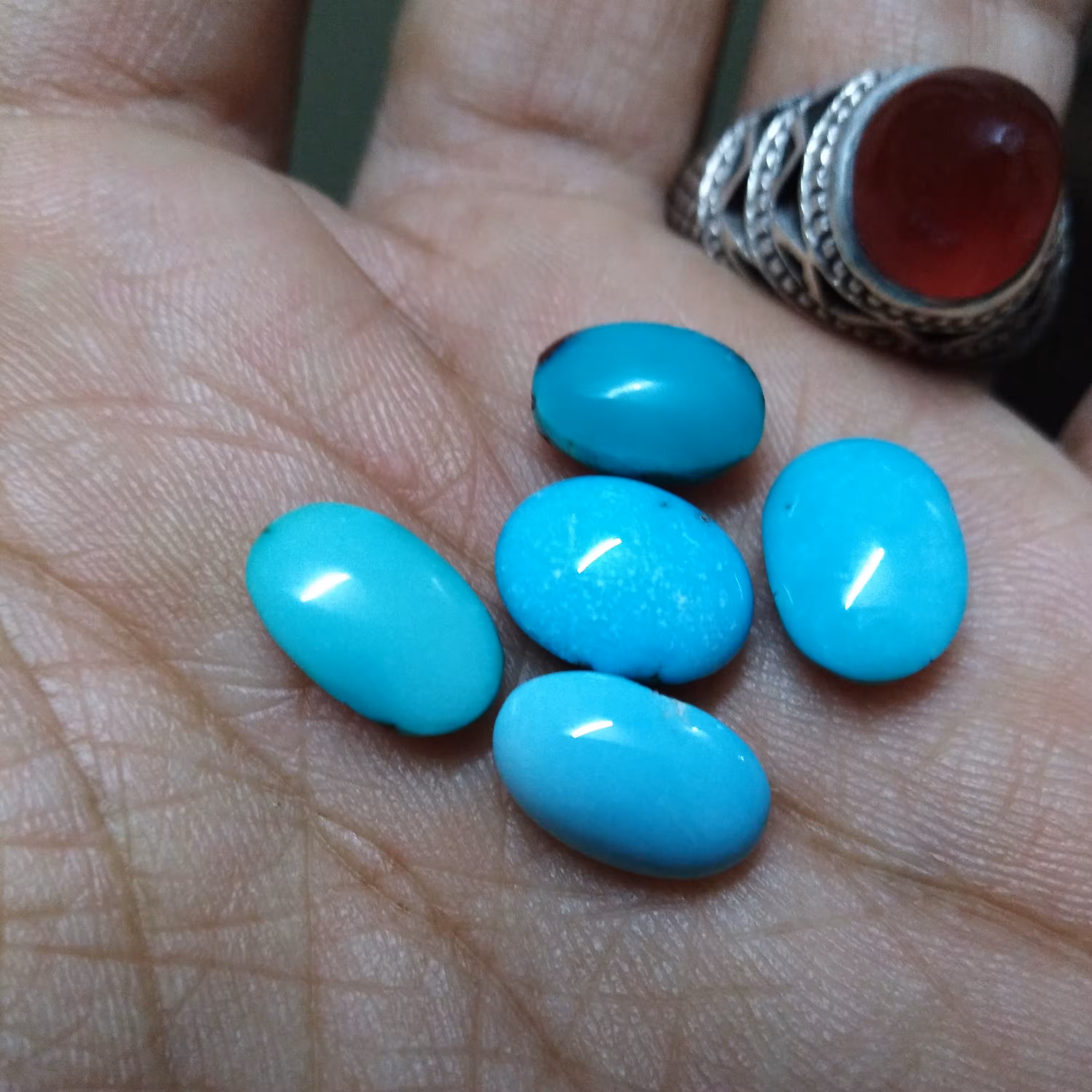 پک 5 عددی فیروزه نیشابور خوشرنگ