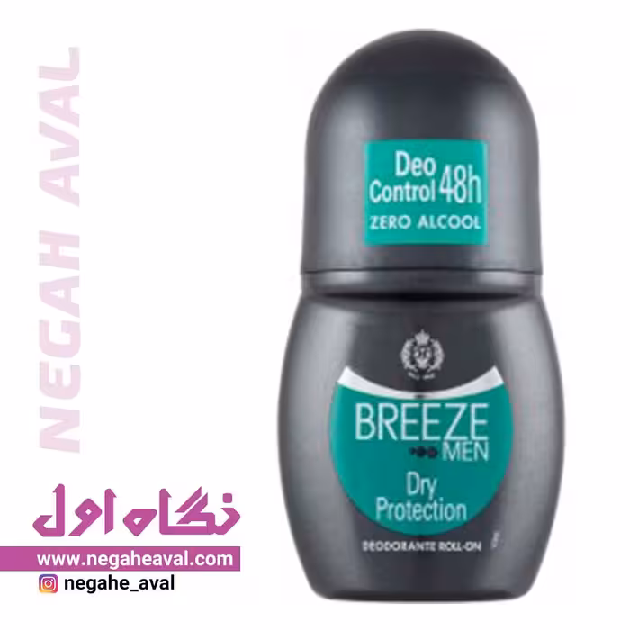 رول ضدتعریق بدون الکل مردانه Dry Protection بیریز