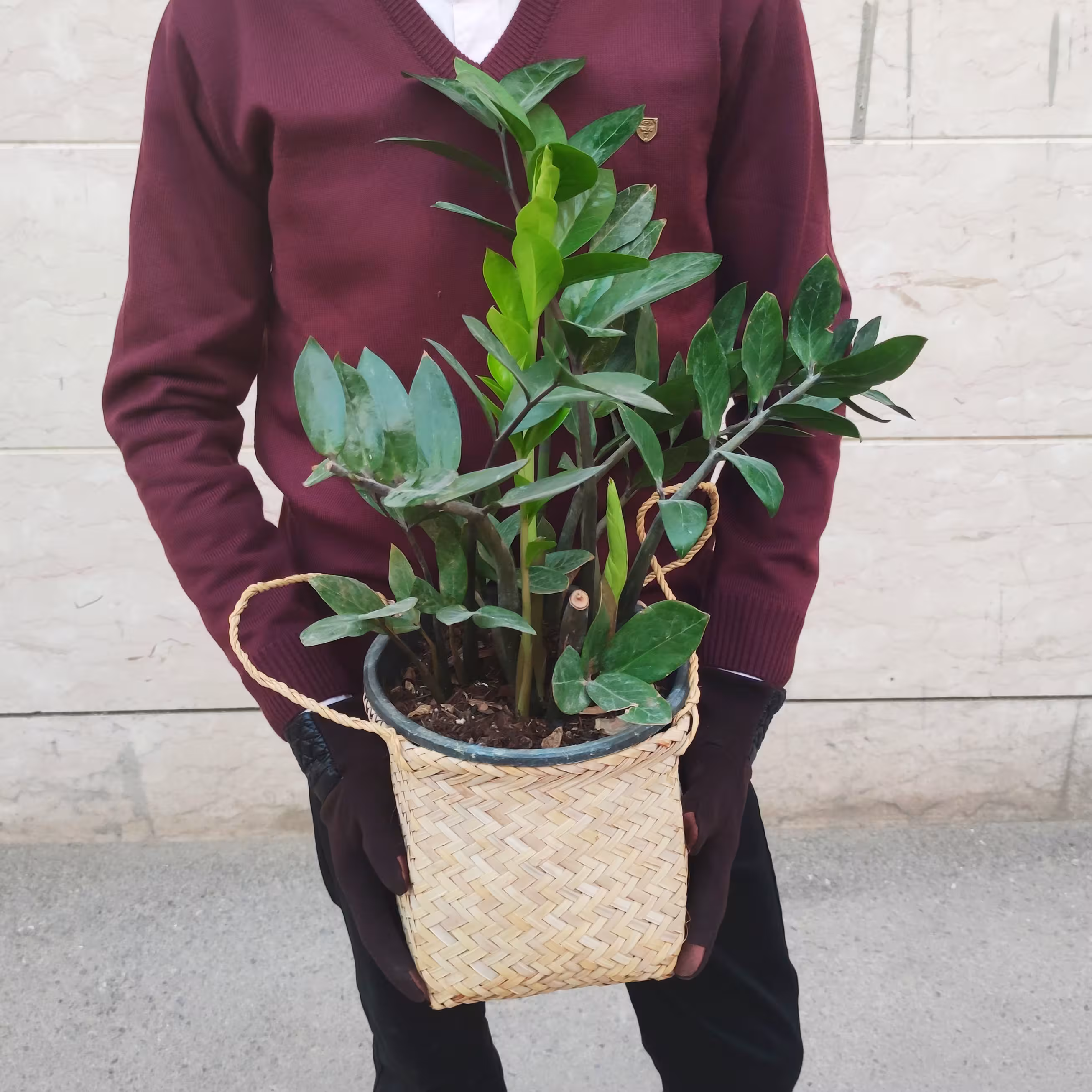 گلدان حصیری سایز متوسط