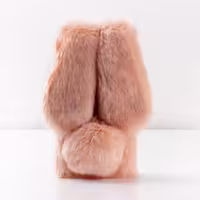 قاب  خرگوشی  گوشی  سامسونگ Galaxy S9 Plus