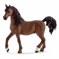 اسب عرب نر اشلایش Schleich
