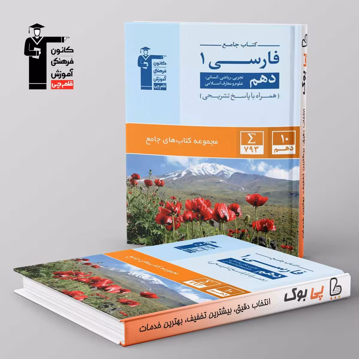 کتاب جامع ادبیات فارسی دهم قلم چی