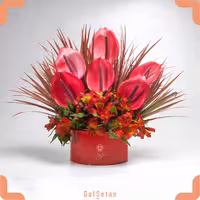 باکس فلزی افشان