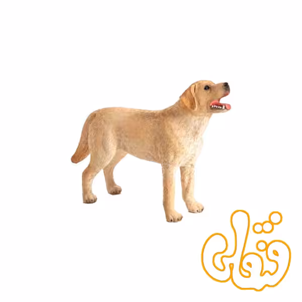سگ لابرادور Labrador 387271