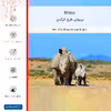 برچسب پوششی ماهوت مدل Rhino-FullSkin مناسب برای گوشی موبایل آنر X9 5G