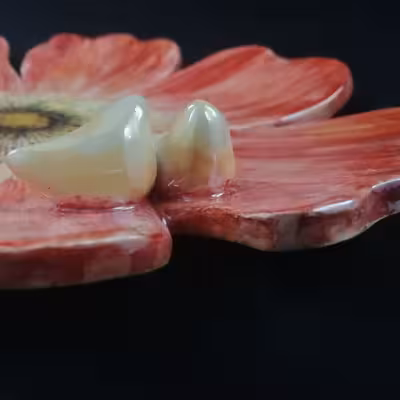 شیرینی خوری سرامیکی هیوا مدل نازگل کد 11024863