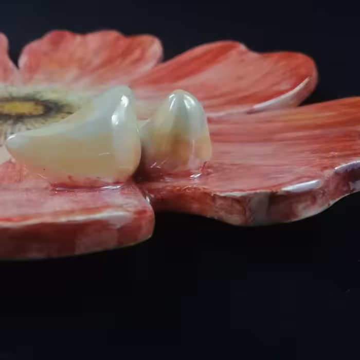 شیرینی خوری سرامیکی هیوا مدل نازگل کد 11024863