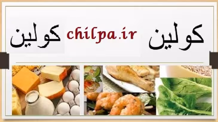 تحقیق کامل در مورد کولین - چیلپا