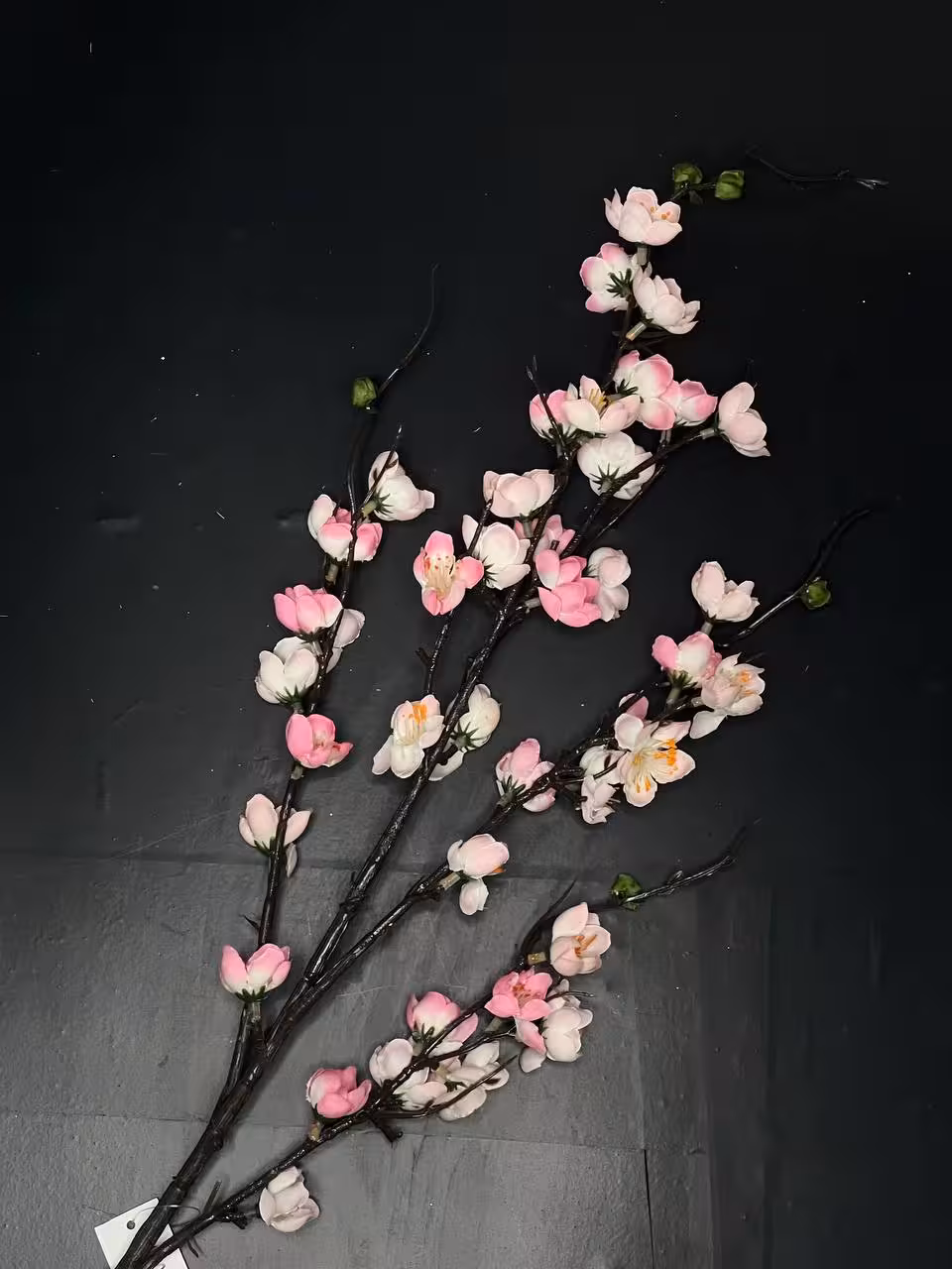 شکوفه ژاپنی گیلاس صورتی وارداتی