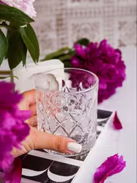 نیم لیوان آنجلیکا