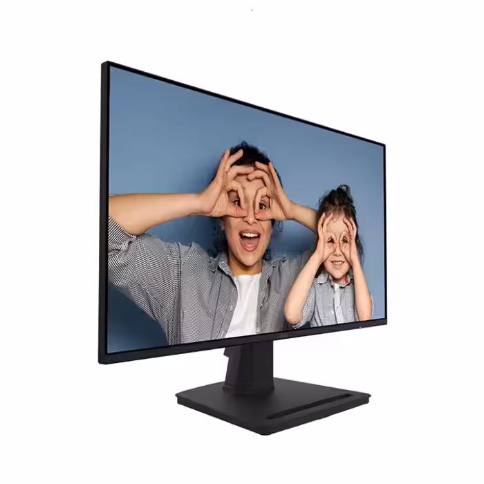 قیمت و خرید مانیتور 25 اینچ ام اس آی MSI PRO MP252