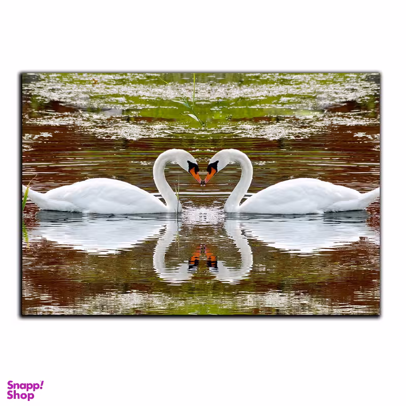 تابلو شاسی بکلیت طرح عاشقانه قو مدل SH-S353