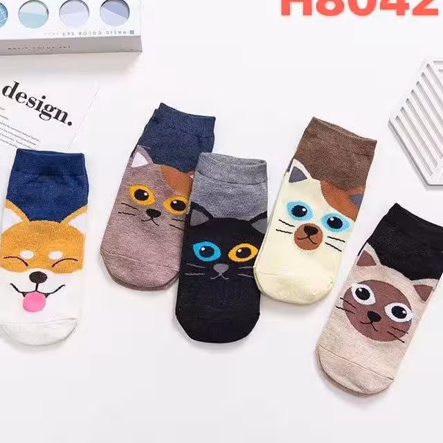 🧦مچی کارتونی
وارداتی واورجینال
💰 با احترام  30.000 تومان 
🚚 هزینه ارسال به عهده شما مشتری عزیز