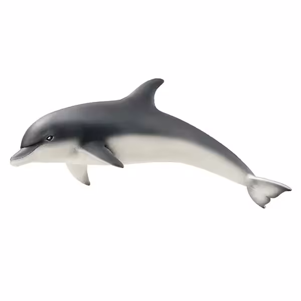 دلفین اشلایش Schleich