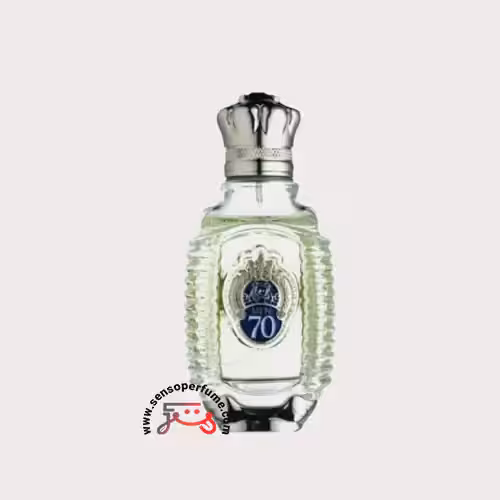عطر ادکلن شیخ شیک ان 70 ادوپرفیوم | shaik chic no 70 edp