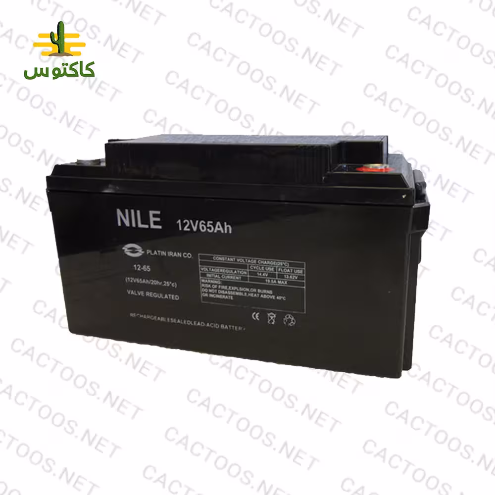 باتری یو پی اس(نیل)nile 65A