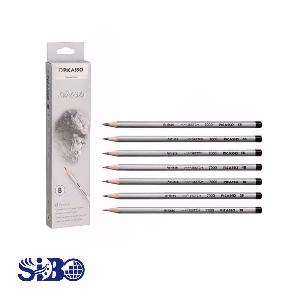 مدادطراحی پیکاسو B5