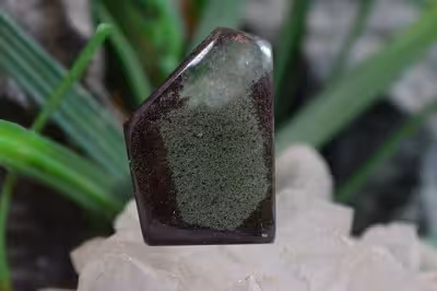 گاردن کوارتز