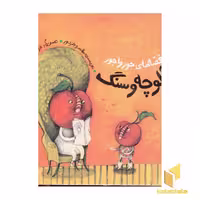 کتاب آلوچه و سنگ اثر طاهره خردور نشر پیدایش