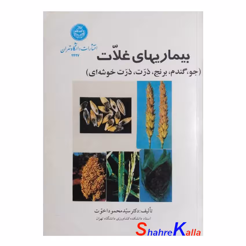 کتاب دست دوم بیماری های غلات(جو،گندم،برنج،ذرت،ذرت خوشه ای) اثر سید محمد اخوت