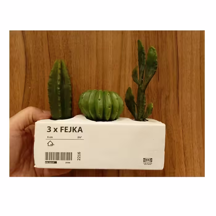 گلدان به همراه کاکتوس مصنوعی ایکیا مدل FEJKA  مجموعه 3 عددی