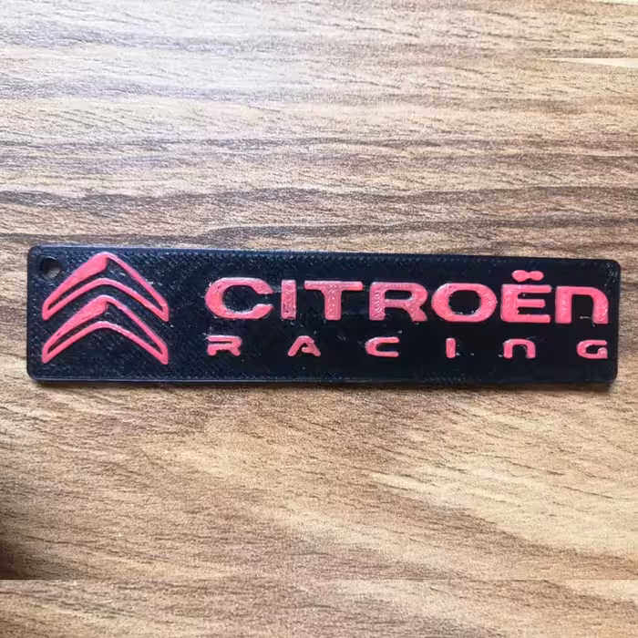 جاسوئیچی خودرو مدل X2 مناسب برای زانتیا