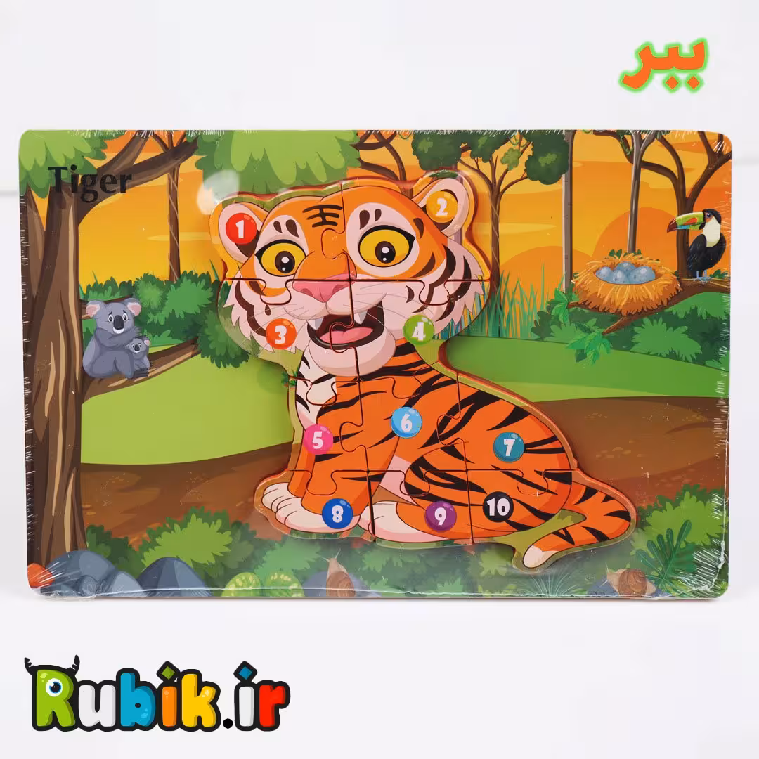 پازل 10 تکه چوبی