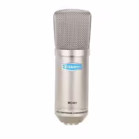 میکروفون Alctron مدل MC001