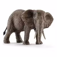 فیل آفریقایی ماده اشلایش Schleich